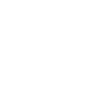 Consultancy Services