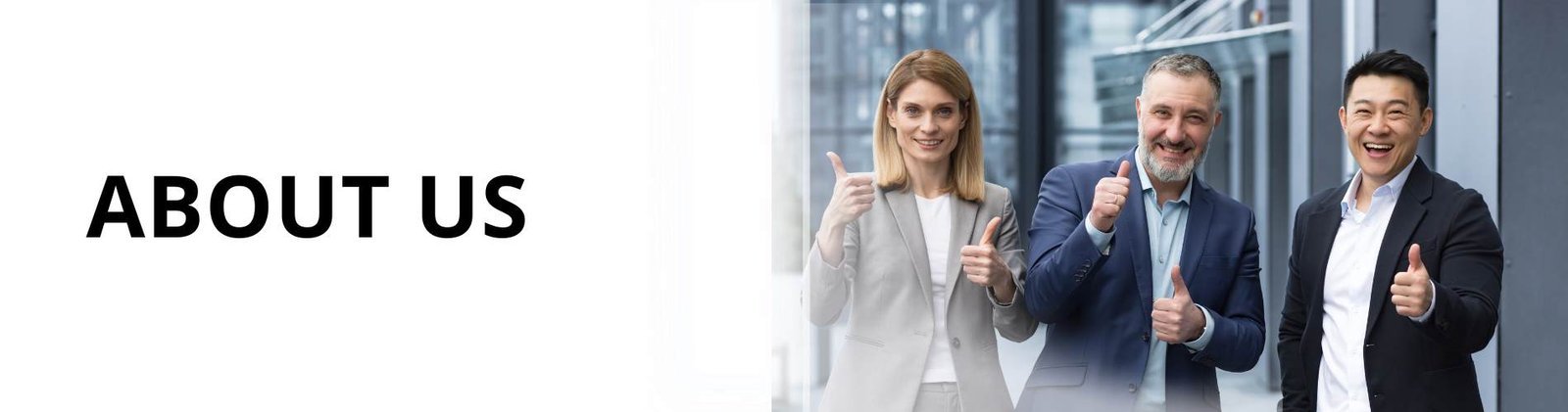 About spjsventure Solutions